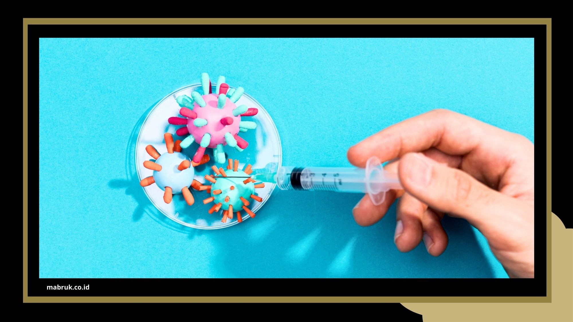 masa berlaku vaksin meningitis
