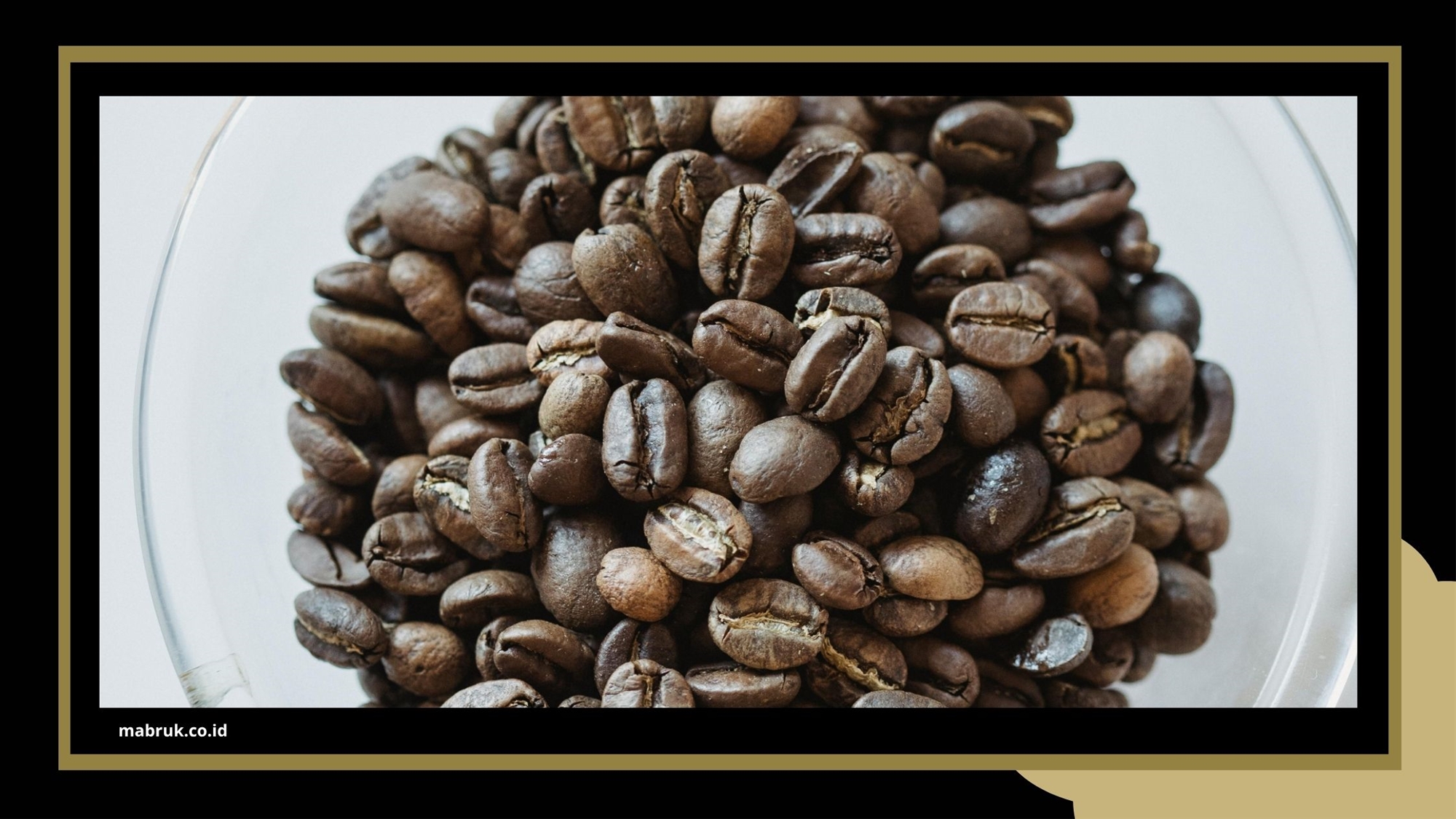 kopi