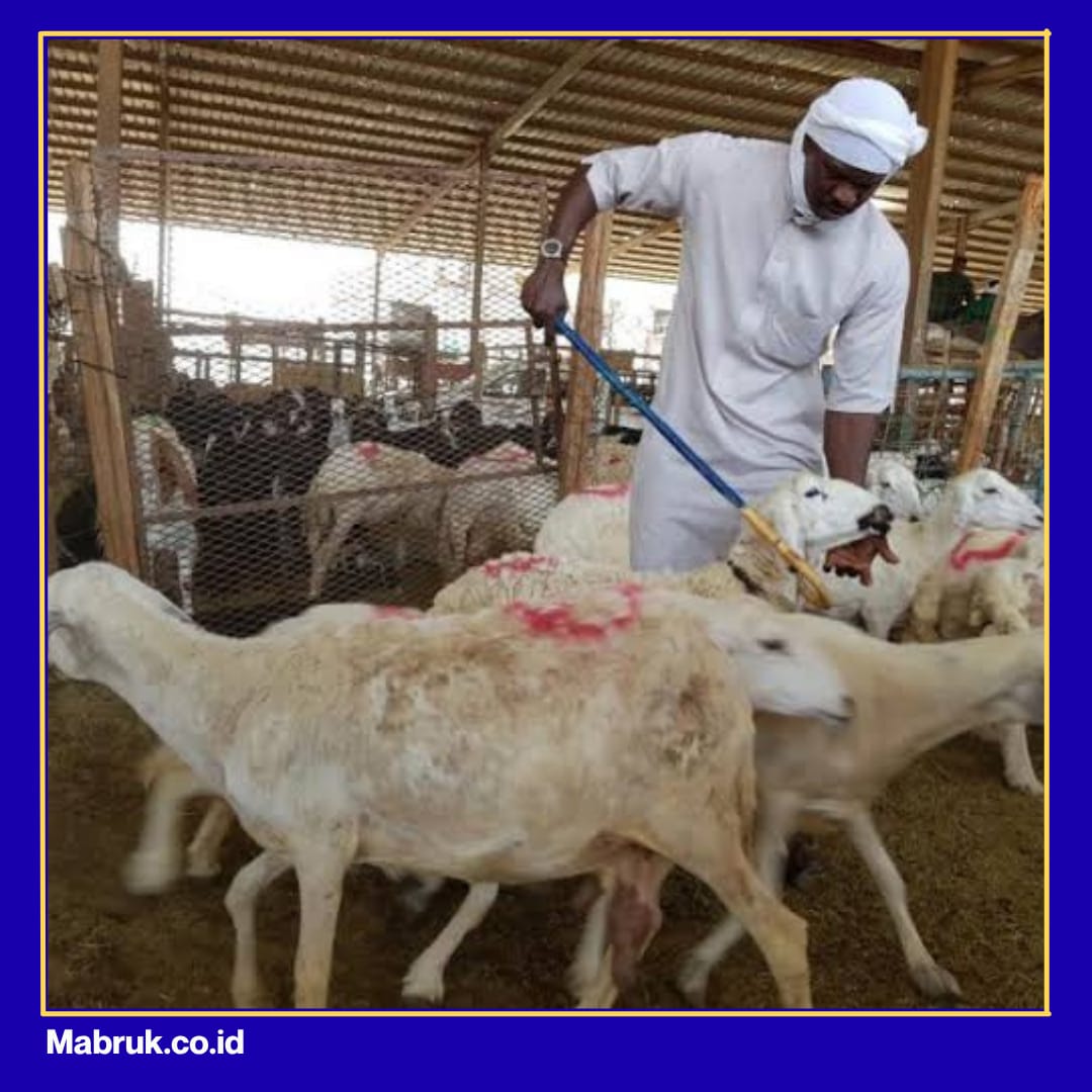 Tata Cara Dam Tamattu dalam Ibadah Haji
